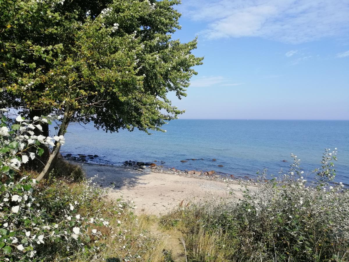 39 Weiße Villa am Schwanenteich EG rechts