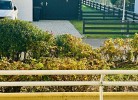 11 Ferienwohnung 'Südstrandläufer' App.58-003