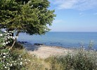 38 Weiße Villa am Schwanenteich EG links