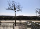 55 Ferienwohnung 'Strandnest 2' Strandburg App.0.2 links