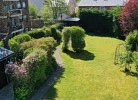 Gemeinschaftsgarten