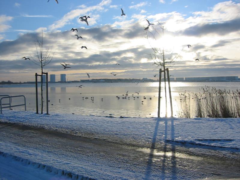 Fehmarn Winterstimmung